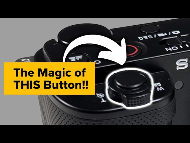 Embrace The Power of the Shutter Button | Photography Tips