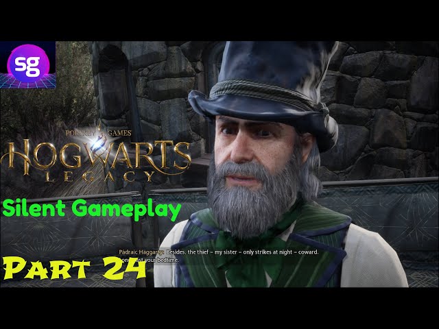 Hogwarts Legacy Silent Gameplay No Commentary Part 24