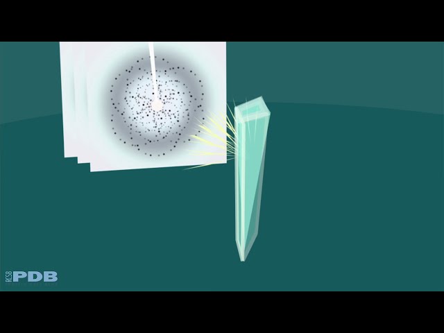 Methods for Determining Atomic Structures: X-ray Crystallography (from PDB-101)