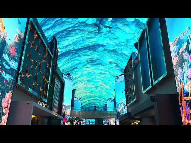 [인스파이어 리조트] 미디어 아트 / Amazing Underwater World: Exploring the Inspire Resort Digital Street