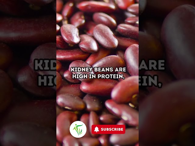 These are the Healthiest Beans You Must Eat Daily #shorts