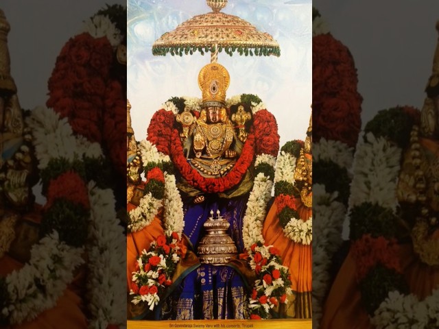 "Venkateswara Swami Kalyanam | Divine Wedding of Lord Venkateswara"