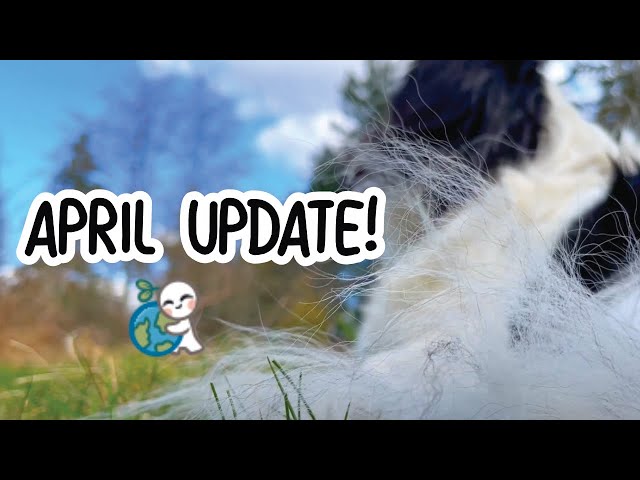 Spring Update & Self Care Activity (April Membership)