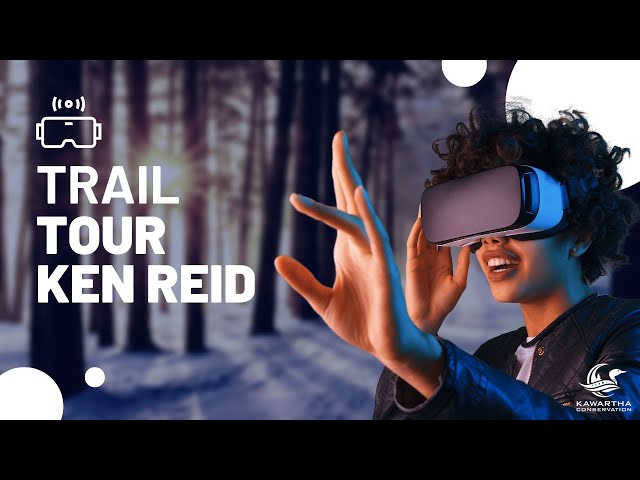 360 Degree Nature Trail Experience. Enjoy the Forest up Close 4K VR