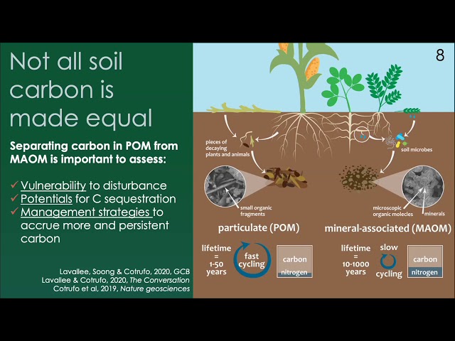 Carbon sequestration in soils | Francesca Cotrufo | Global Carbon Management Workshop