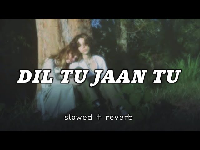 Dil Tu Jaan Tu [ Slowed + Reverb ] - Gurnazar | Lyrics Song