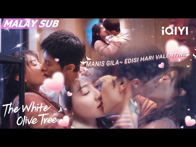 💞Valentine's Day Special💖Azan & Ranran's sweet scenes~❤️‍🔥🥰| The White Olive Tree | iQIYI Malaysia