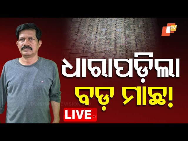 🔴Live | ଧାରା ପଡ଼ିଲା ବଡ଼ ମାଛ! | Odisha Vigilance | Vigilance Raid | Malkangiri | Koraput | OTV