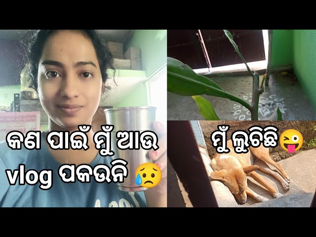 କଣ ପାଇଁ ମୁଁ ଆଉ vlog ପକଉନି 😥। odia vlog। shortsofmonali #dailyvlog #odiavlog