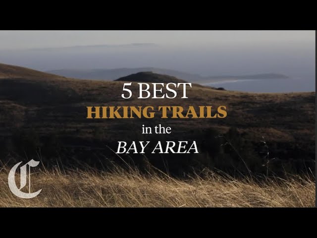 Five Best Hiking Trails in the Bay Area, According to AllTrails Reviews