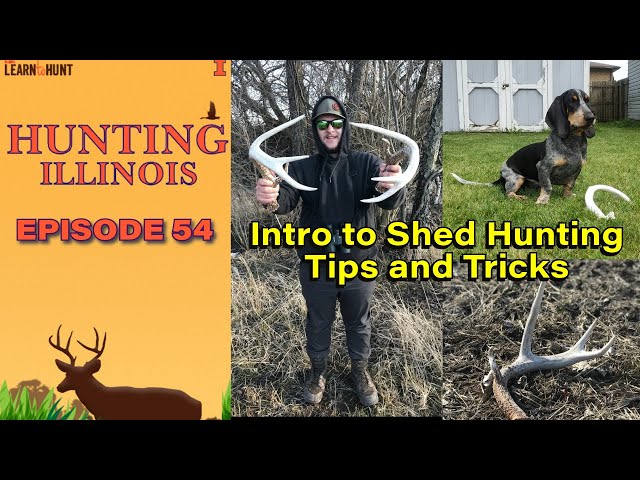 Ep.54 | Intro to Shed Antler Hunting