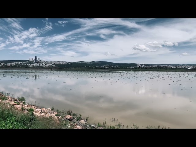 Explorando el Lago: Belleza y Serenidad