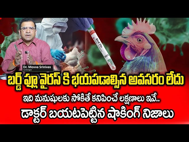 Dr Movva Srinivas Reveals Interesting Facts || Bird Flu Spreading Across Andhra Pradesh