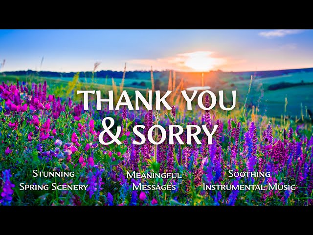 Thank you And Sorry | Uplifting Bible Verses with Peaceful Worship Piano 🌿 Christian Instrumental