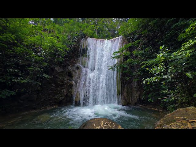 Peaceful Waterfall and River Sounds for Relaxation | Calming Nature Sound for Stress Relief