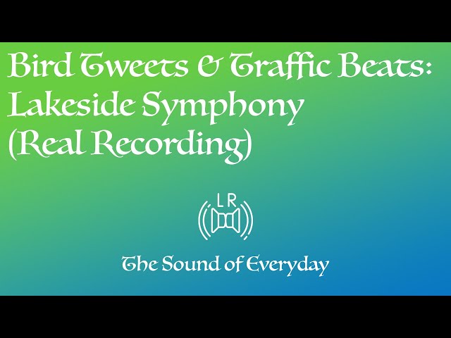 Bird Tweets & Traffic Beats: Lakeside Symphony (Audio only) - Relaxing Nature Sound