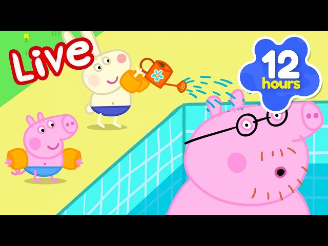 Peppa Pig Full Episodes - LIVE 🚨 THE BEST OF PEPPA SEASON 2⭐️ Kid's Cartoons