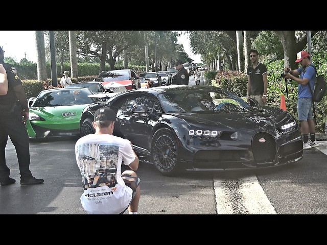 Supercar Saturdays Florida | Supercars, Amazing Cars, Exotic Cars, Car Show September 2024