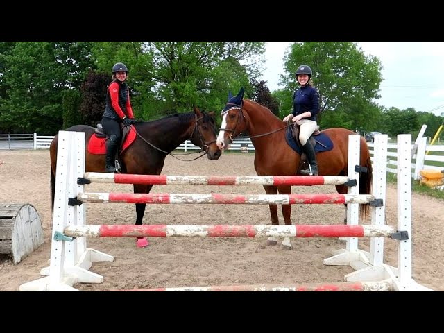 3'6 Triple Bar Oxer! Her Biggest Jump!