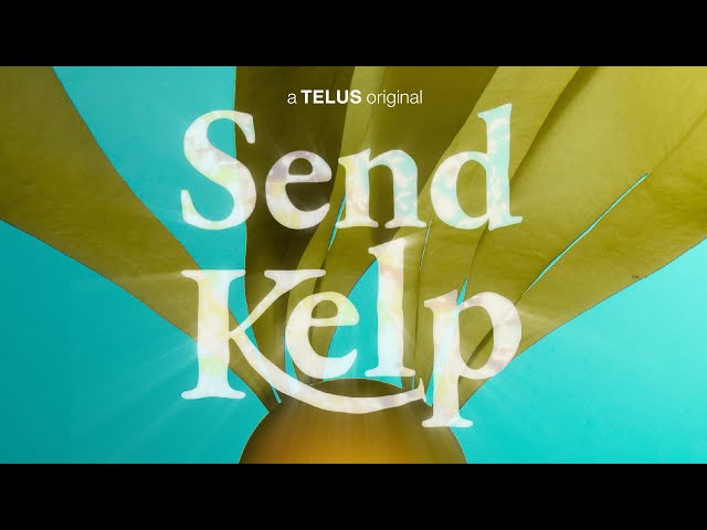 Send Kelp (Trailer) Watch on TELUS Optik TV, Stream+ and watch.telusoriginals.com