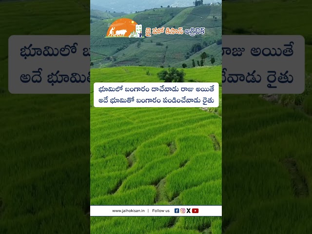 jhk farmer quote | Motivational quotes telugu | inspirational quotes @JaiHoKisan​