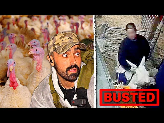 BUSTED BY HIDDEN CAMERAS: The Biggest Turkey Farm Investigation I’ve EVER Done (2023)