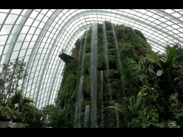 [VR180] Life in Singapore - Cloud Forest at Garden by the Bay