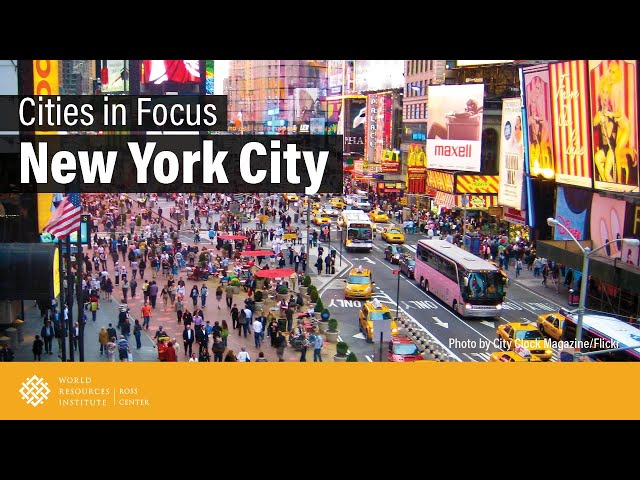 Cities in Focus | New York City