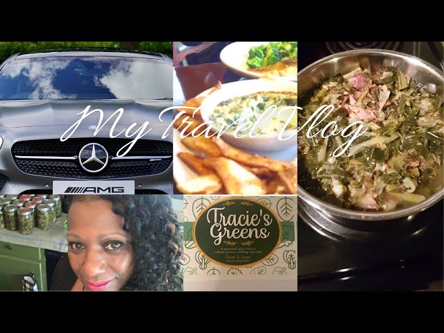 Tracie's Green Travel Vlog