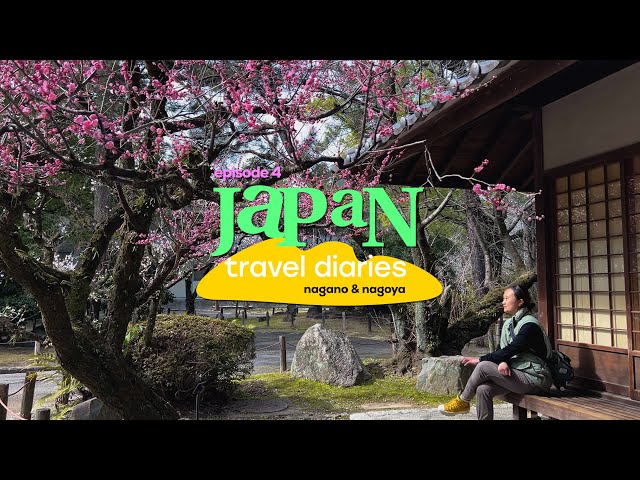 Japan Travel Diaries | Ep4. Snow monkeys❄️ Delicious cheap ramen🍜 Nagoya Castle 🏯 Mochi donut 🍩