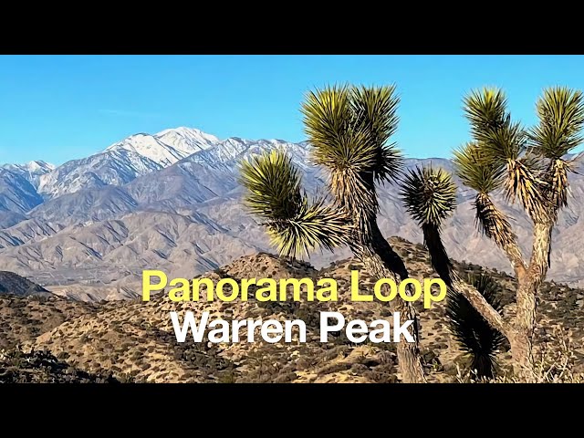 Panorama Loop and Warren Peak (Joshua Tree)