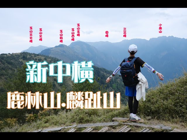 新中橫鹿林山麟趾山 媲美瑞士風景的登山步道