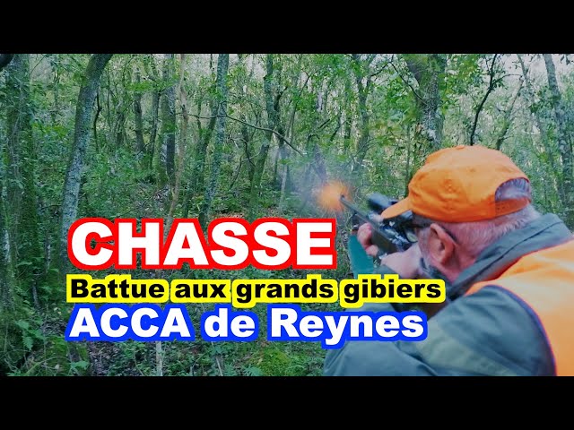 CHASSE : Battue aux grands gibiers à Reynes