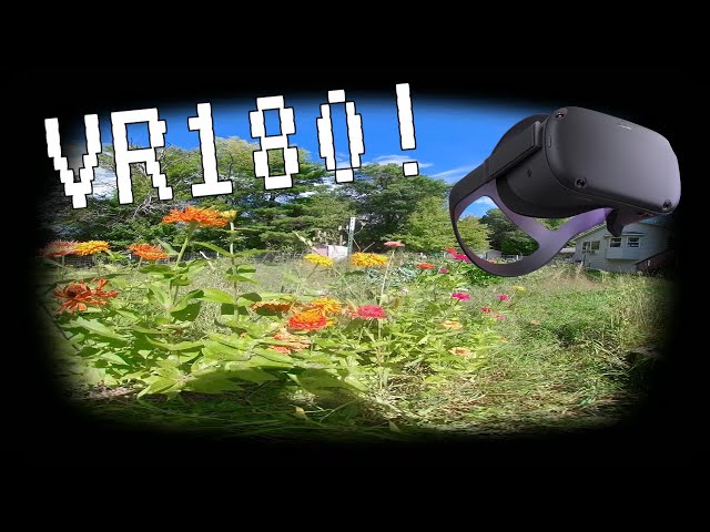 QooCam VR180 Virtual Reality Flower Gardens!