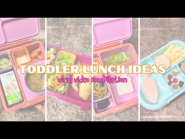 SIMPLE + EASY SCHOOL LUNCH IDEAS #schoollunch #lunchboxideas #momtok #bentobox