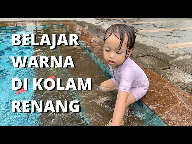 BERMAIN IKAN WARNA WARNI | COLOR SONG DAN HIDE AND SEEK SONG NURSERY RHYMES | LEARN COLORS