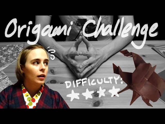 Will Jess Fold? - The Origami Challenge