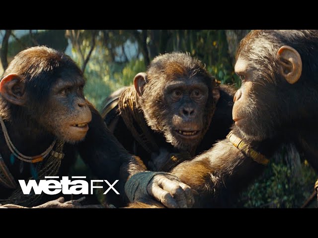 Virtual Cinematography in Kingdom of the Planet of the Apes | Wētā FX