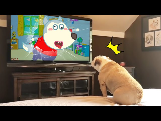 Funny Dog Reaction to Wolfoo From TV 😾🐶  Wolfoo in Real Life ! Funniest Cats And Dogs Videos