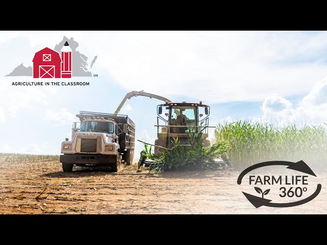 Farm Life 360º - Virginia Corn Chopping