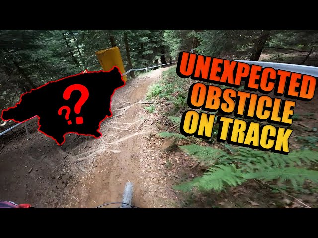 Encountering something UNEXPECTED on the trail - Downhill Sorca