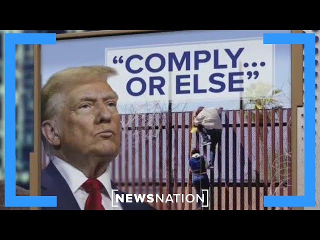 Can sanctuary city mayors be removed for Trump deportation resistance? | Dan Abrams Live