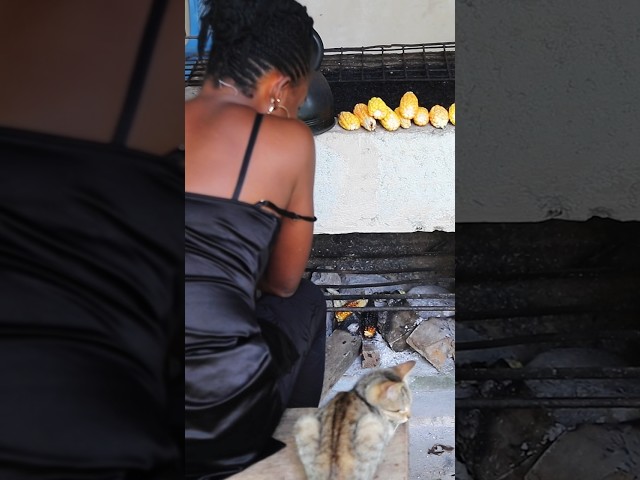 Village Serenity: Roasting Corn in Ghana’s Aburi Mountains with Playful Kittens.#AburiMountains