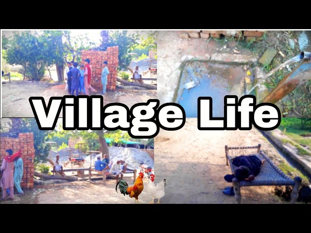 Pakistan punjab village life vlog