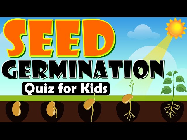 🌱 Seed Germination Quiz for Kids | The Journey of a Seed 🌿 Fun & Animated Explantions! 🎥✨