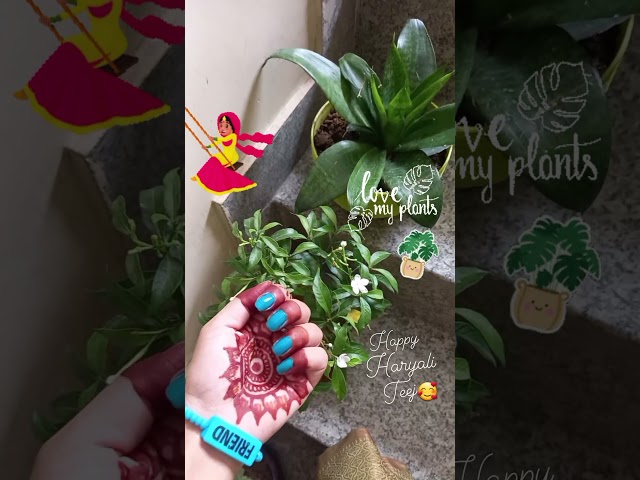 🌿🌺...............🌿🥰💌