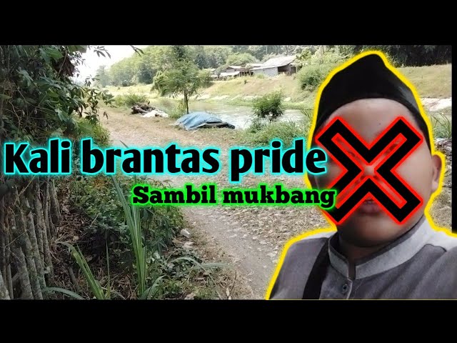 MengVlog sambil mukbang🗿| Menggabut di jimbe bersama orang orang tolol!!