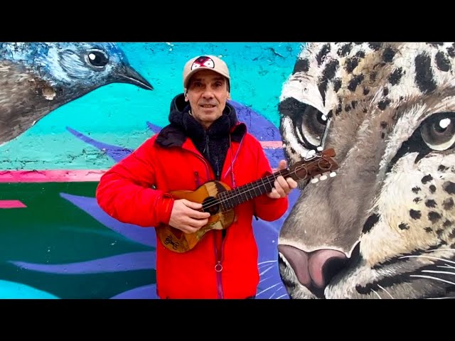 Manu Chao - Como un animal - 1a parte (Official Live Video)