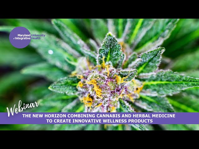 A New Horizon: Combining Cannabis and Herbal Medicine to Create Innovative Wellness Products