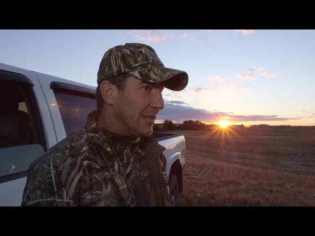 Hired to Hunt Season 2 #4 - Goose Hunting and Duck Hunting.  Limit hunts in Alberta